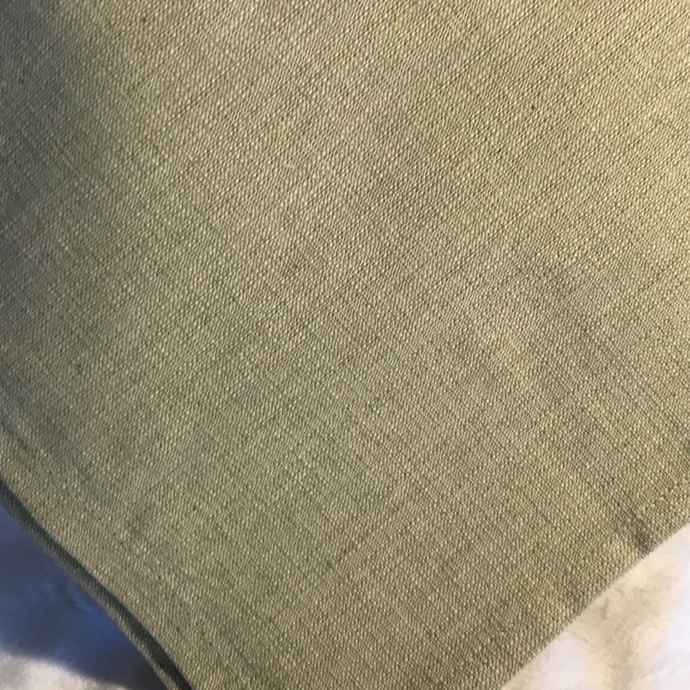 NWT 10 Eco-Ordinate Sage napkins
